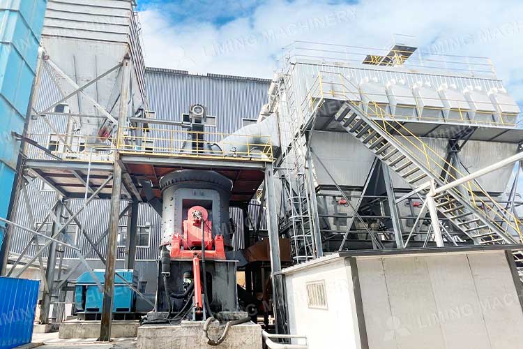 20t/h LM vertical coal mill site